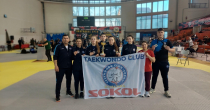 Sjajan rezultat u Obrenovcu: 16 takmičara, 13 medalja i dva pehara za „Sokol“