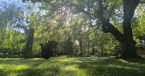 Bijeljina: Sunčano i toplije