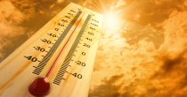 Izdato upozorenje: Još sedam dana visokih temperatura