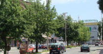 Bijeljina: Sunčano i toplo vrijeme