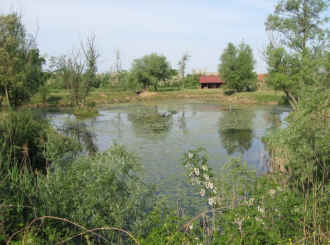 Počela izgradnja amfiteatara i ekološke učionice