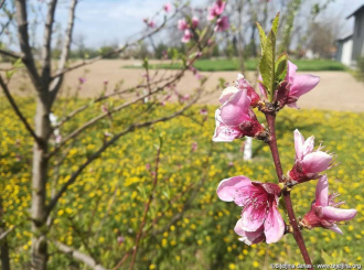 Maksimalna temperatura 11 stepeni: Sutra nas očekuje pretežno sunčano vrijeme