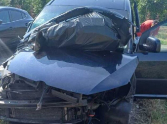 Kombi pun životinja iz BiH imao udes u Italiji