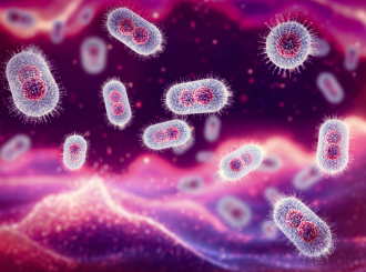 Mpoks virus može da inficira i ljudski mozak?