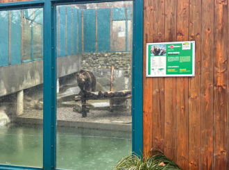 Mečka Dunja danas nije vidjela svoju sjenku: Šta kažu narodna vjerovanja?