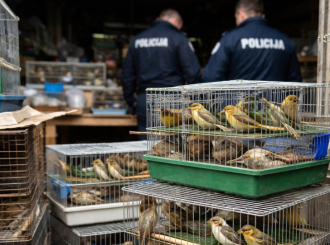 Srbija: U stanu pronađeni kavezi sa 57 divljih i zaštićenih ptica