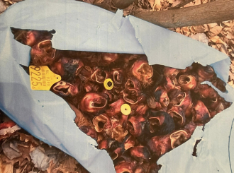 Gradonačelnik Bijeljine podnio krivičnu prijavu zbog zagađivanja životne sredine