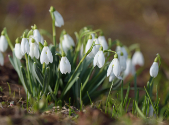 Kakvo nas vrijeme očekuje za vikend?