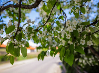 Danas oblačno i svježije sa sunčanim periodima