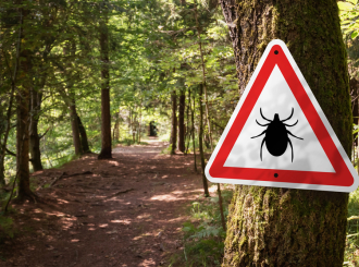 Krpelji poranili u parkove i na izletišta