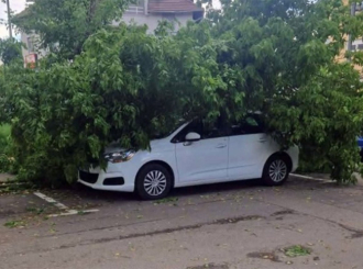 Drvo palo na automobil u Banjaluci