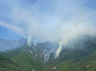 Gori borova šuma: Požar u Jablanici i dalje aktivan