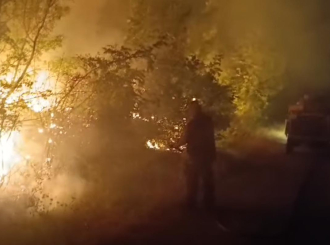 "Potrebni su nam ljudi, a ne pozivi": Vatrogasci branili sela kod Trebinja cijelu noć (VIDEO)