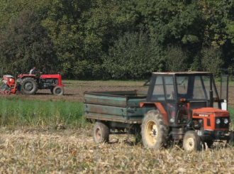 Rod manji nego lani: U Semberiji počela berba duvana