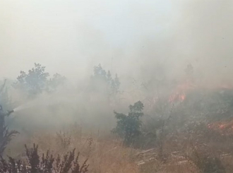 Lokalizovan požar kod Teslića: Vatrogasci, šumari i mještani na terenu