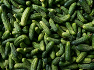 Semberska firma "Balatunka" izvezla 80% proizvoda na tržište EU