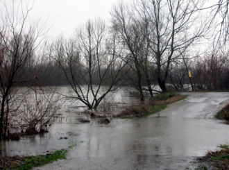 Sava kod Bijeljine opada do 2 centimetra na čas