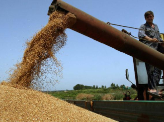 Otkupna cijena pšenice u Semberiji 35 pfeninga