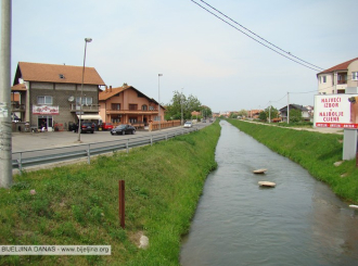 Poribljavanje šaranom na Savi i kanalu Dašnica
