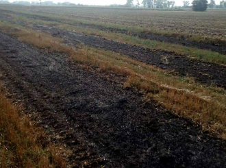 Katastrofalne posledice paljenja: Sudari, izgoreli psi...