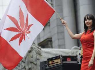 Kanabis u Kanadi: nestašica, kazne i izviđački kolači
