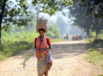 Ubili sedmogodišnju djevojčicu radi plodnije žetve