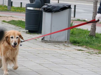Izvođenje kućnih ljubimaca najviše 200 metara od mjesta stanovanja