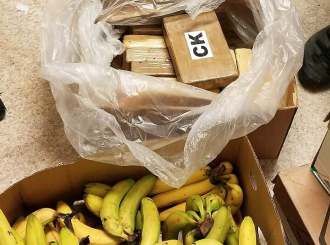 Firmi iz Širokog Brijega greškom isporučen kokain u bananama vrijedan više od 20 miliona KM
