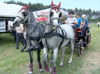 Spektakl na hipodromu