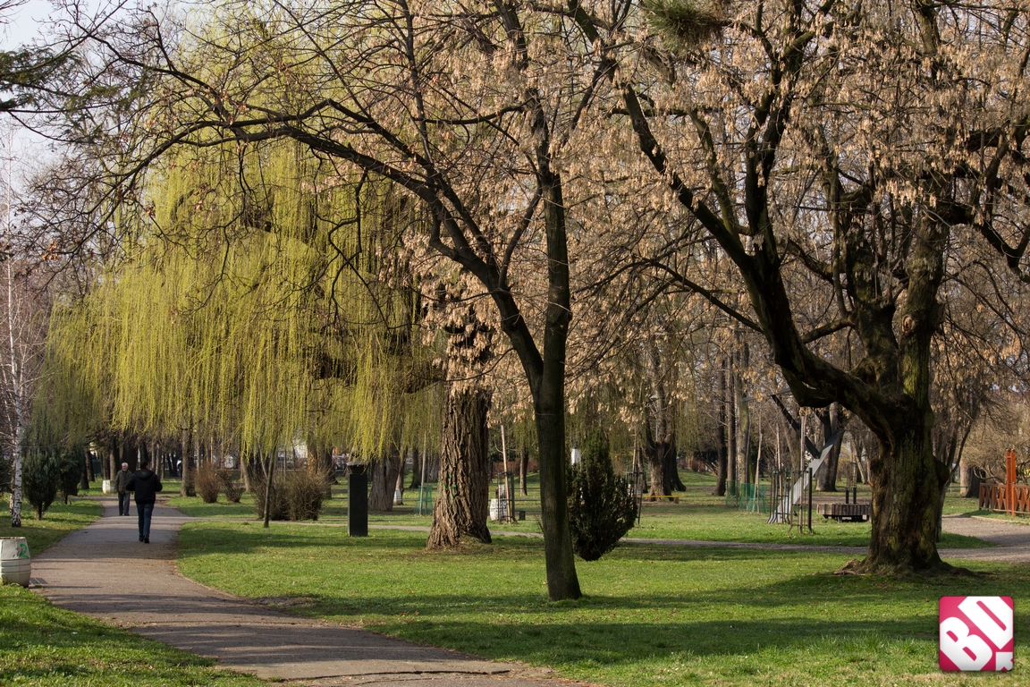 Gradski park, Bijeljina