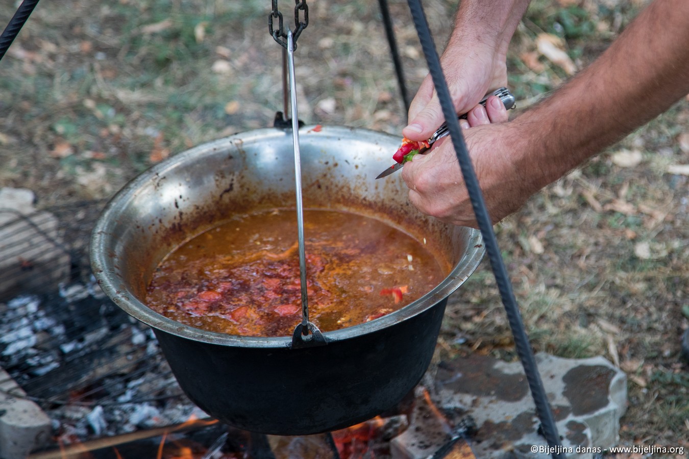 Bijeljina, Zlatni kotlić Semberije Banja Dvorovi