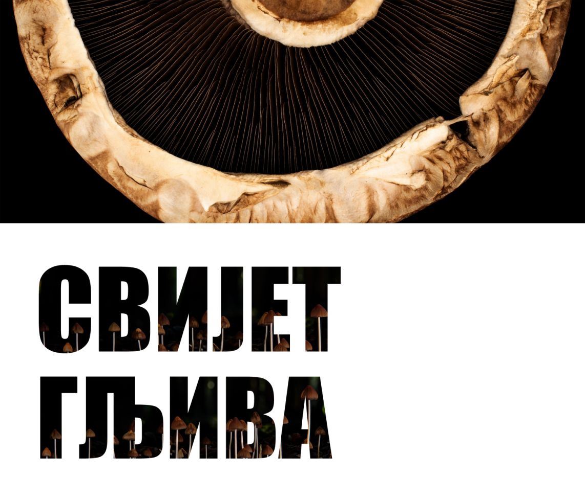Bijeljina, Svijet gljiva Muzej Semberije