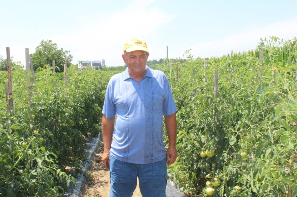 Šteta od grada najveća u Velikoj Obarskoj