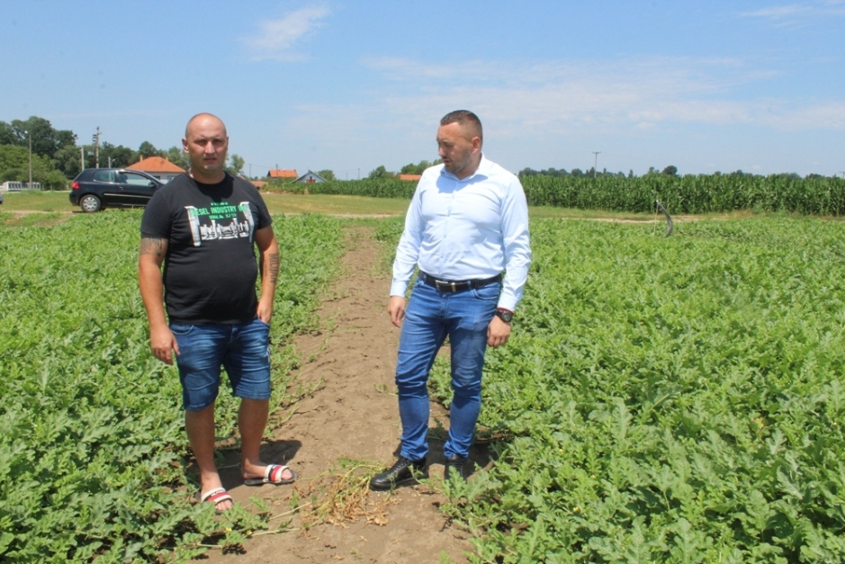 Šteta od grada najveća u Velikoj Obarskoj