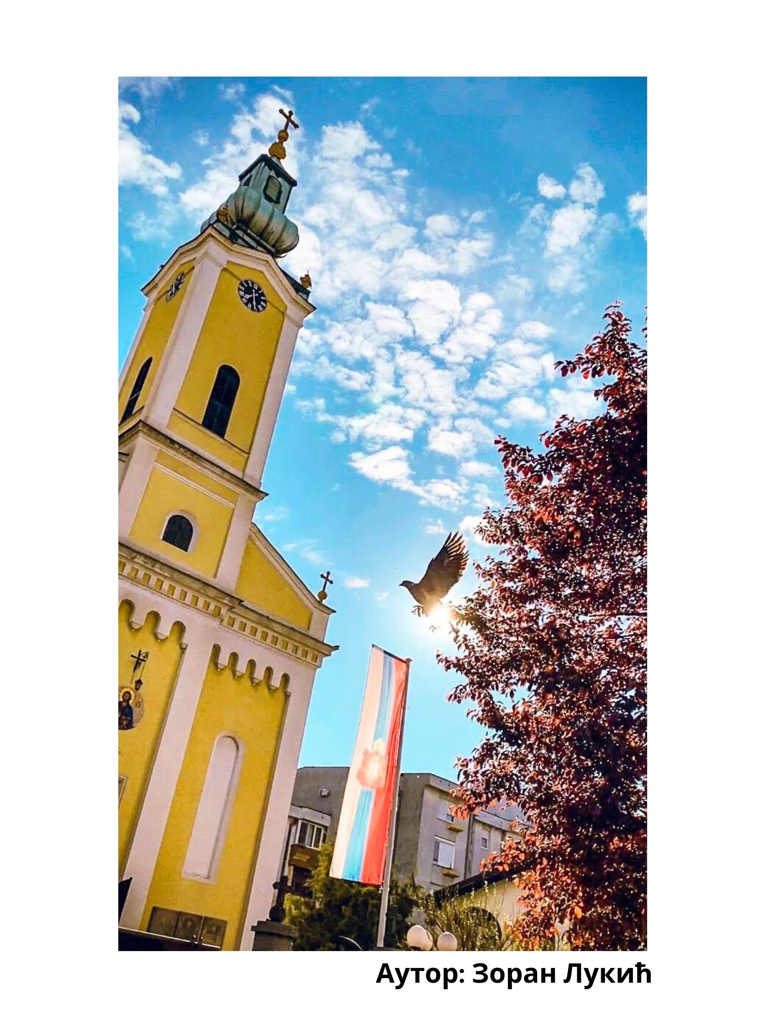 U ponedjeljka izložba "Bijeljina- slika mog grada"
