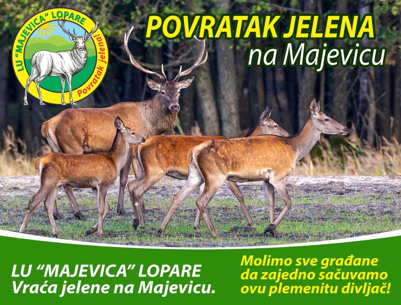 Jelen se vraća na Majevicu