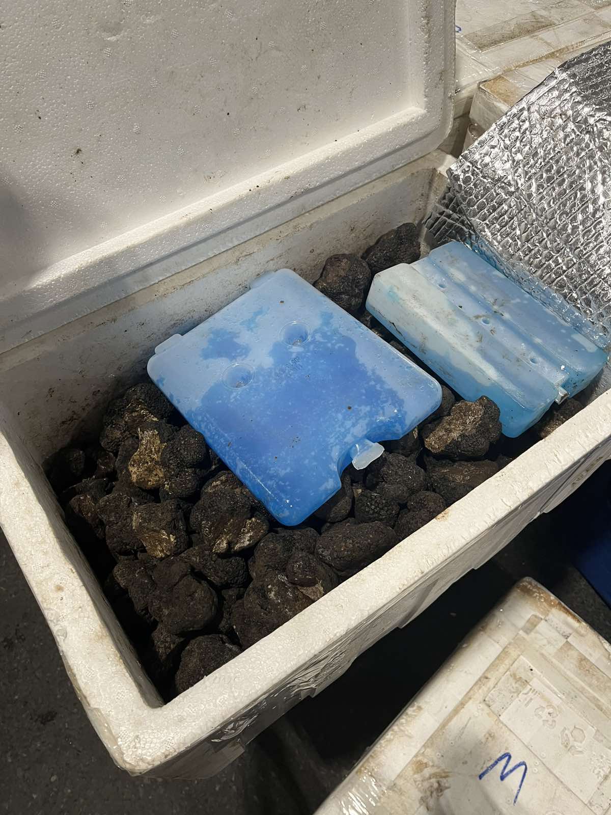 Srbija: Na graničnom prelazu zaplijenjeno više od 200 kilograma tartufa