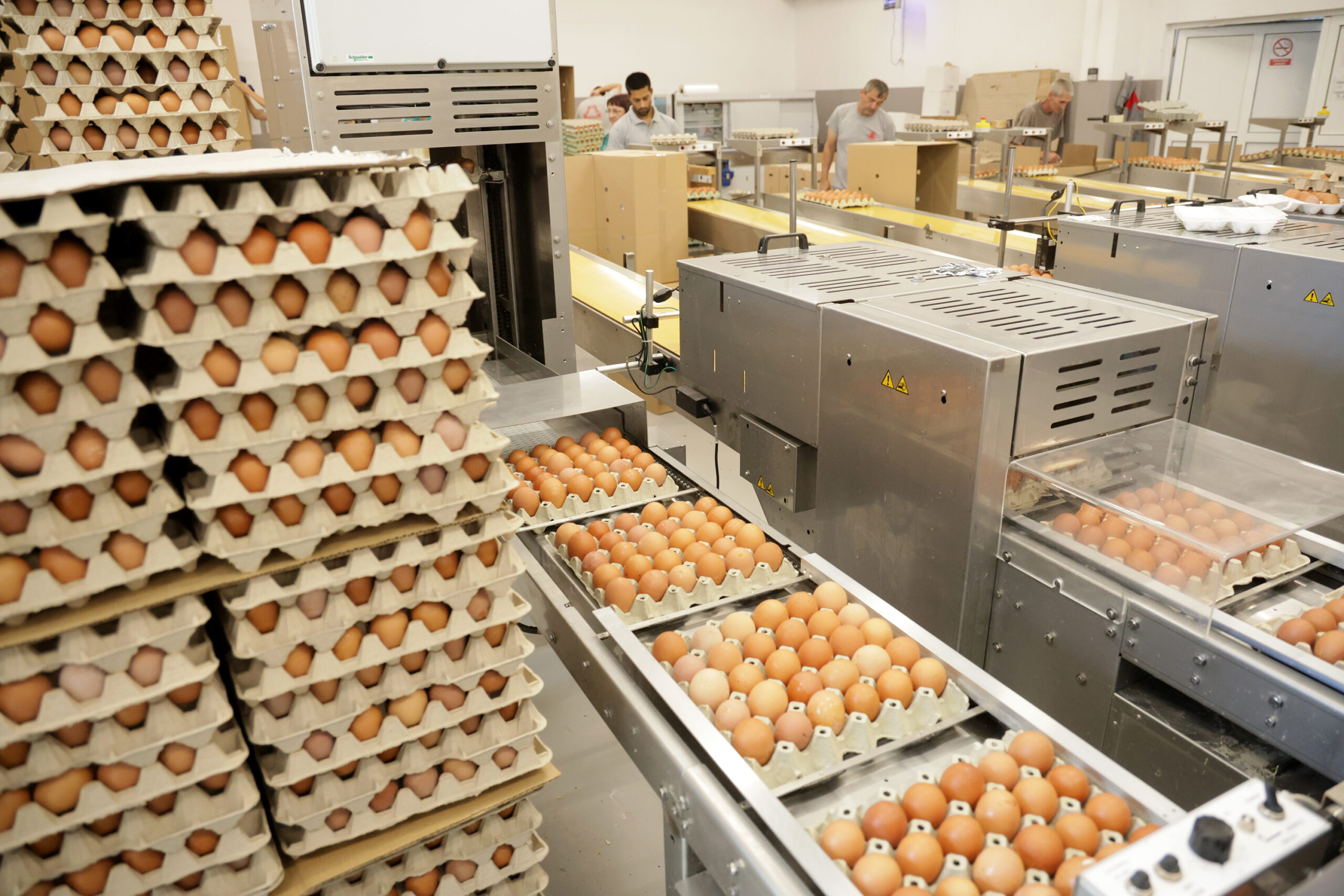 PORODICA RAKIĆ IZ BATKOVIĆA PONOS SEMBERIJE Priča o znanju, inicijativi i poslovnom uspjehu