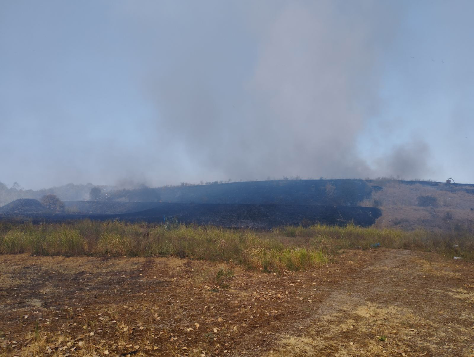 Vjetar otežava gašenje požara na gradskoj deponiji, gore suva trava i smeće FOTO