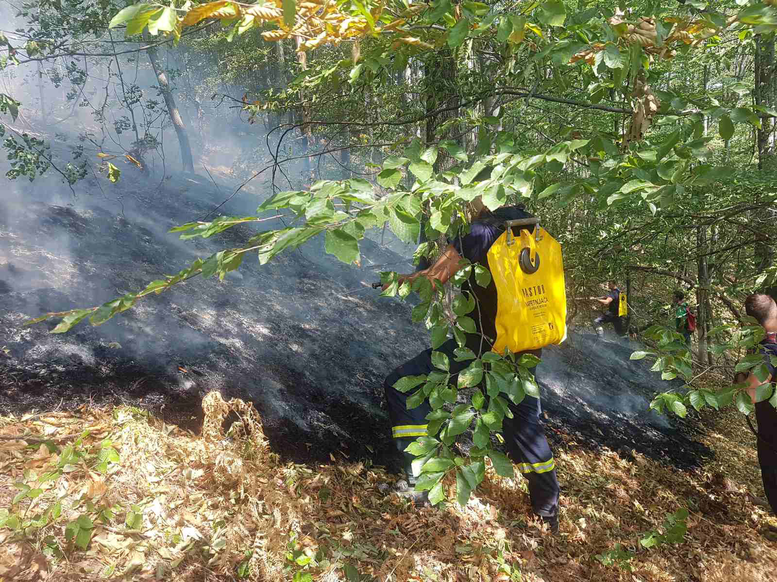 Vjetar rasplamsava vatru na Majevici, zatraženo angažovanje helikoptera FOTO