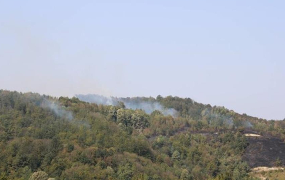 Požari na Majevici stavljeni pod kontrolu (FOTO)