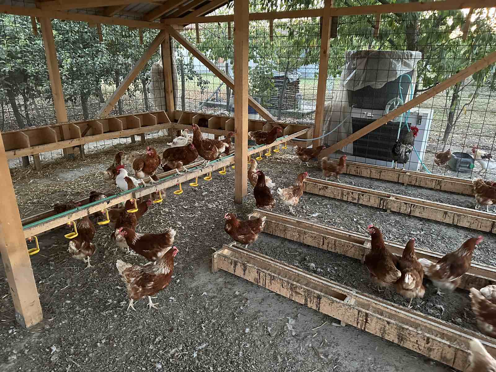 Mile Pejčić pomogao razvoj Farme „5 jaja“ – podrška mladima i preduzetništvu