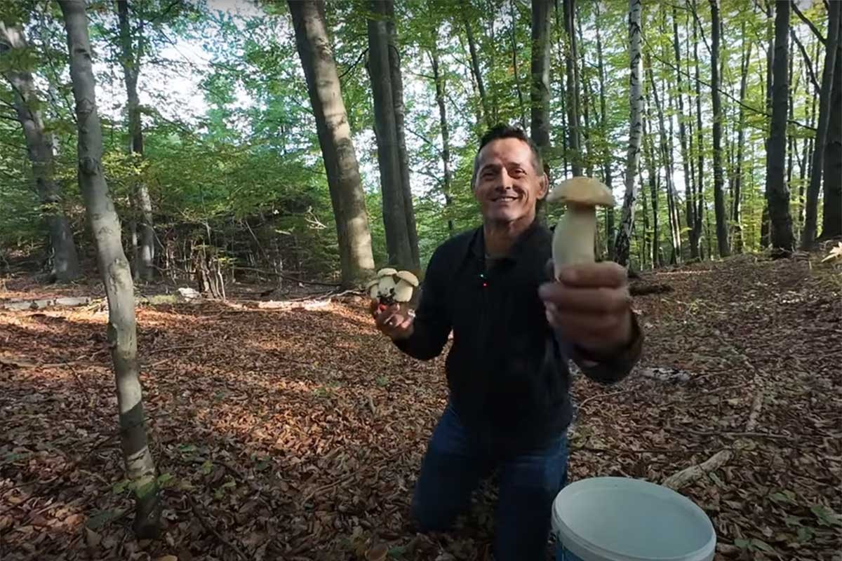 Marko "kralj vrganja", dnevno zaradi i do 150 evra (VIDEO)
