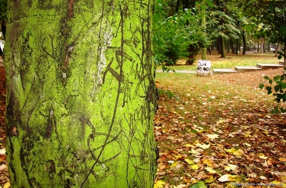 Bijeljina: Umjereno oblačno