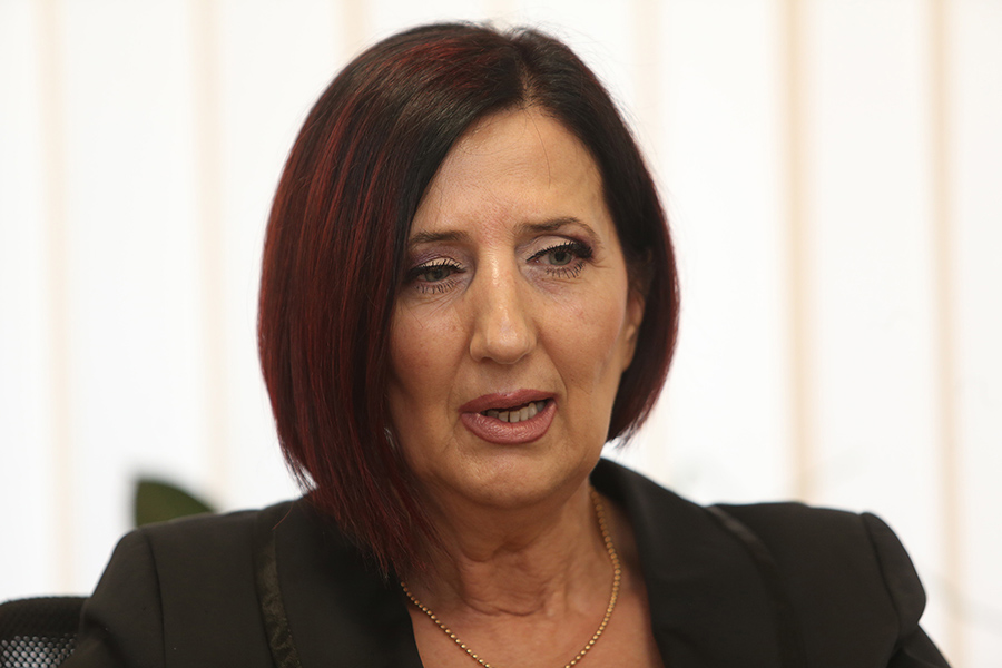 Mišić: Najvažnije pitanje - novi sistem plata