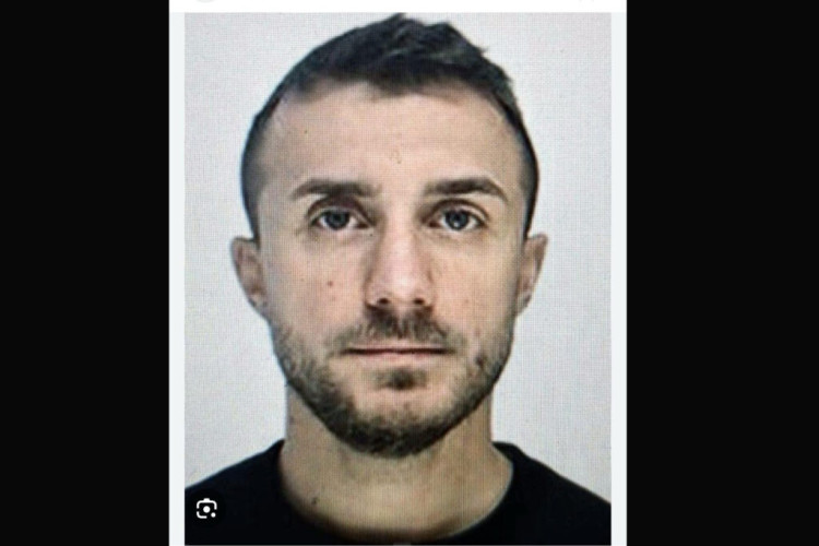 Srbija će izručiti vođu švedskog klana Vanju Mijića