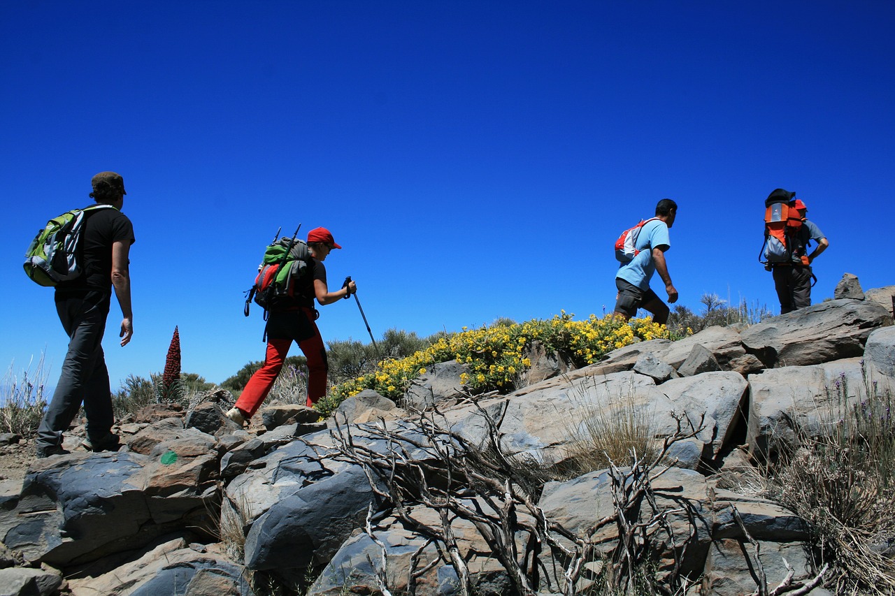 Da li su Tenerife destinacija za svako godišnje doba