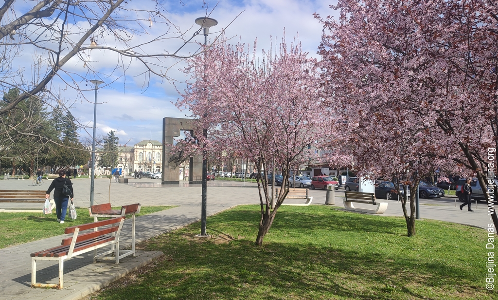 Raskošni početak proljeća u Bijeljini FOTO