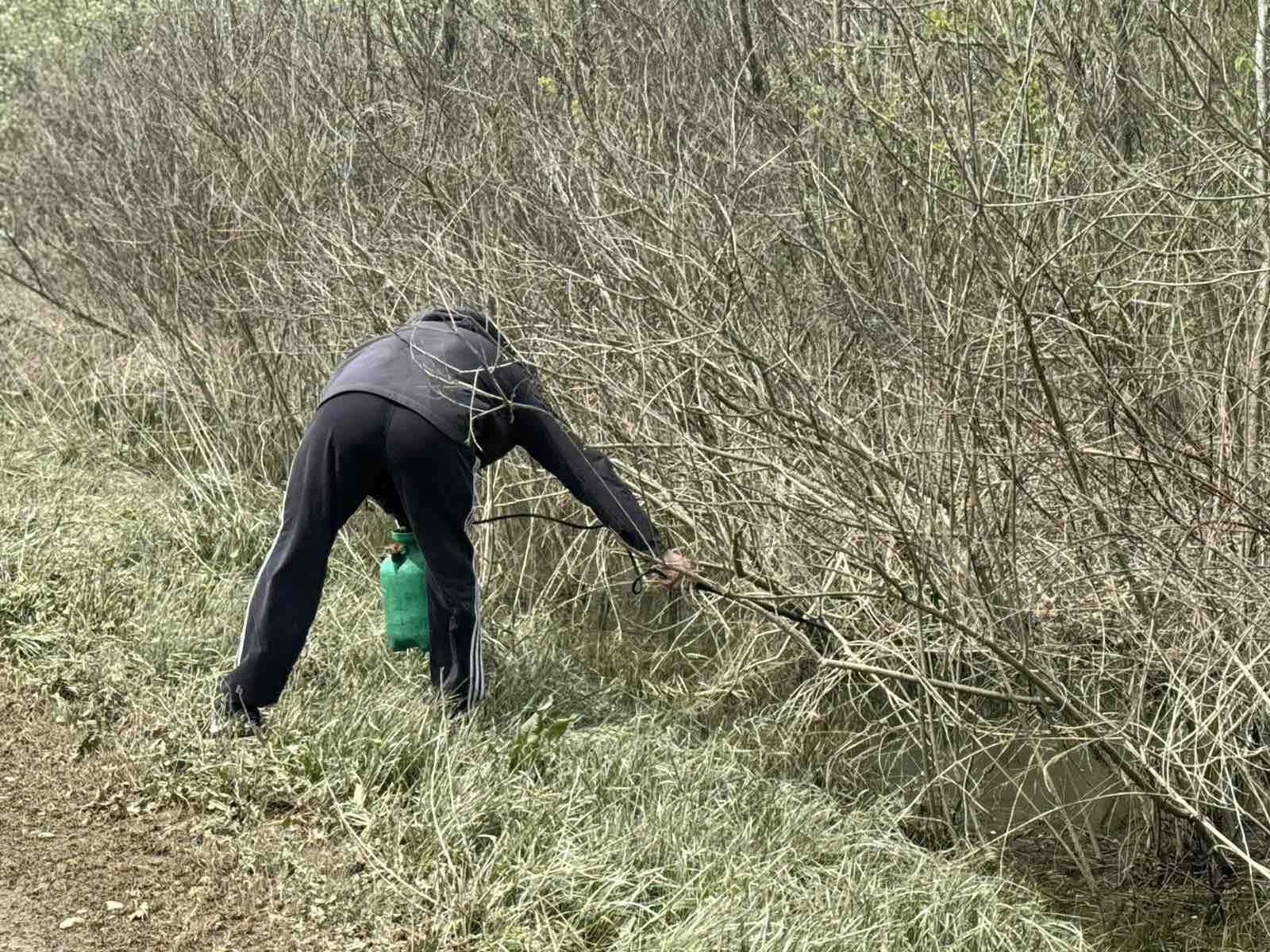 Semberija: Počelo larvicidno uništavanje komaraca