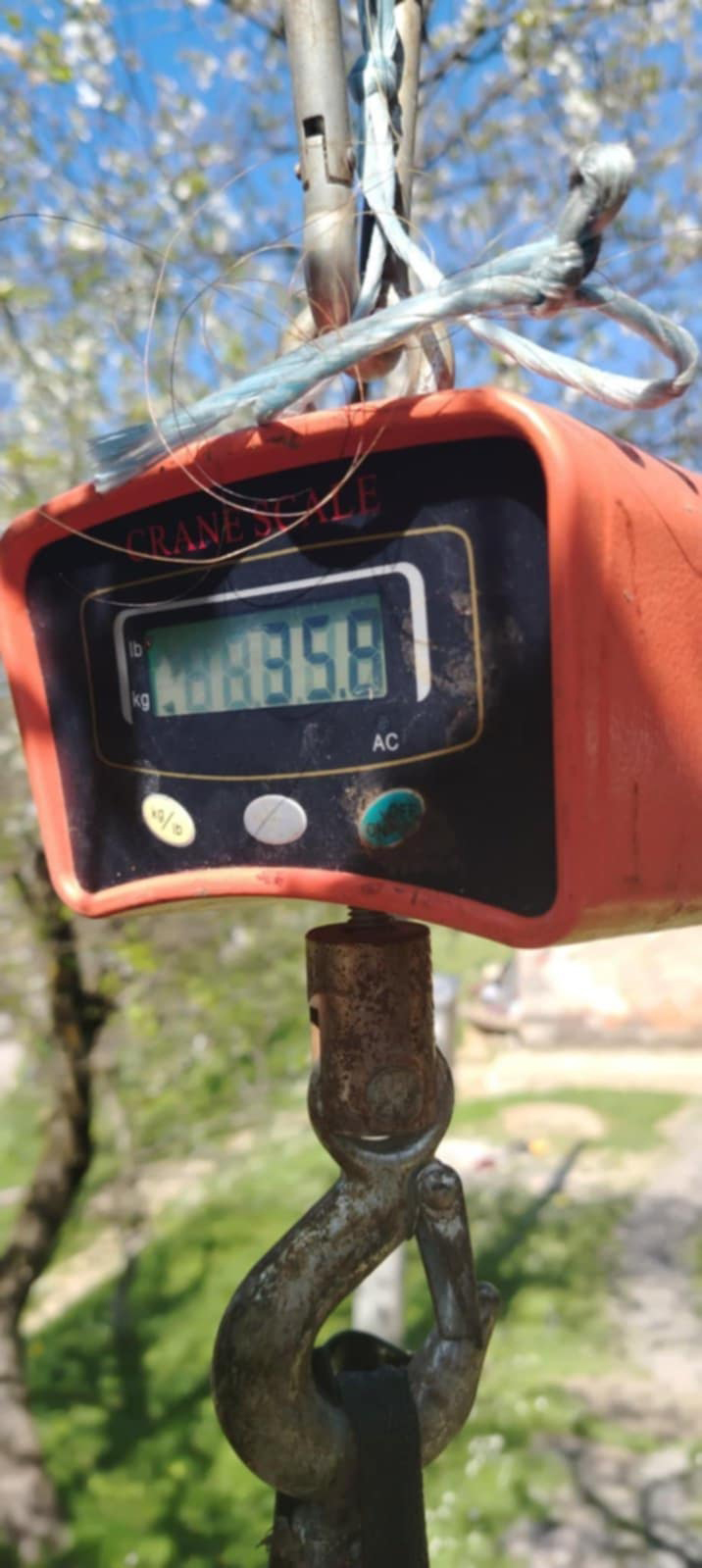 Kapitalni ulov u rijeci Uni - som od 35,8 kilograma